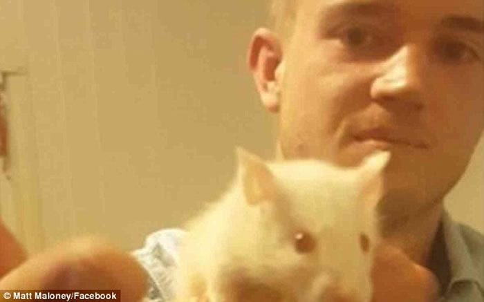 �������������Լ�ҧ��������ͷ�Ĳ���Ƭ�� ����������3��