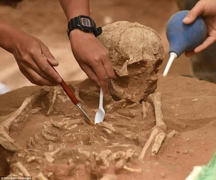 ��������ѧ������ɫ�з����׸������Ǻ������ʿ��Ĺ��