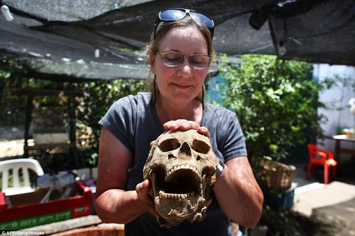 ��������ѧ������ɫ�з����׸������Ǻ������ʿ��Ĺ��