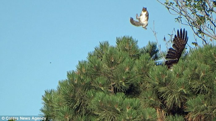 �����������ֿϹ�԰����ǿ�����������ӥ����