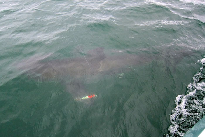 ����6����ͯ�������������