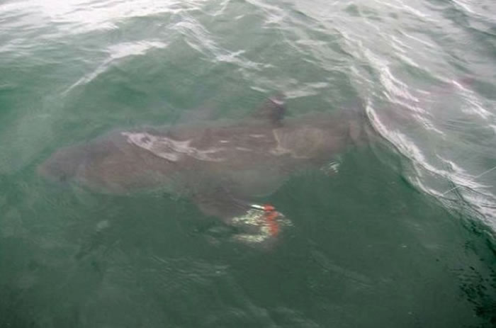 ����6����ͯ�������������