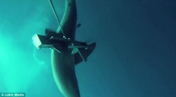 ���޴���蹥��ˮ�����˻�