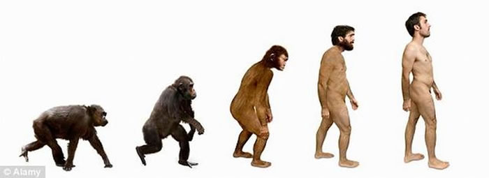 ֮ǰ�о���ʾ�����Լ4����ǰ��ֹͣ���������ǽ����о��������ദ�ڻ�����������ֳ�ɹ��������������̶Ⱦ��и�����ԡ�