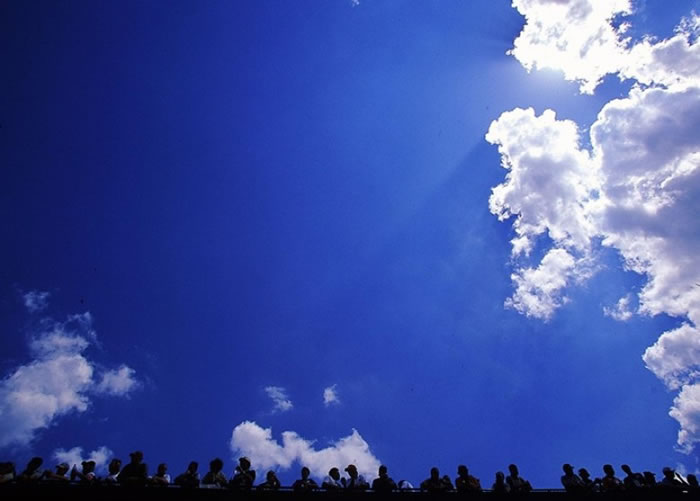 �Ʋ�����Գ�������������ƶ���