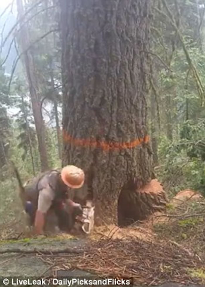 �����Է�ľʱ����ͻ�ѿ� �Ҷ�ÿ��ӹ�һ��