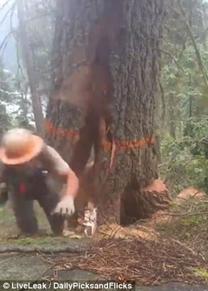 �����Է�ľʱ����ͻ�ѿ� �Ҷ�ÿ��ӹ�һ��