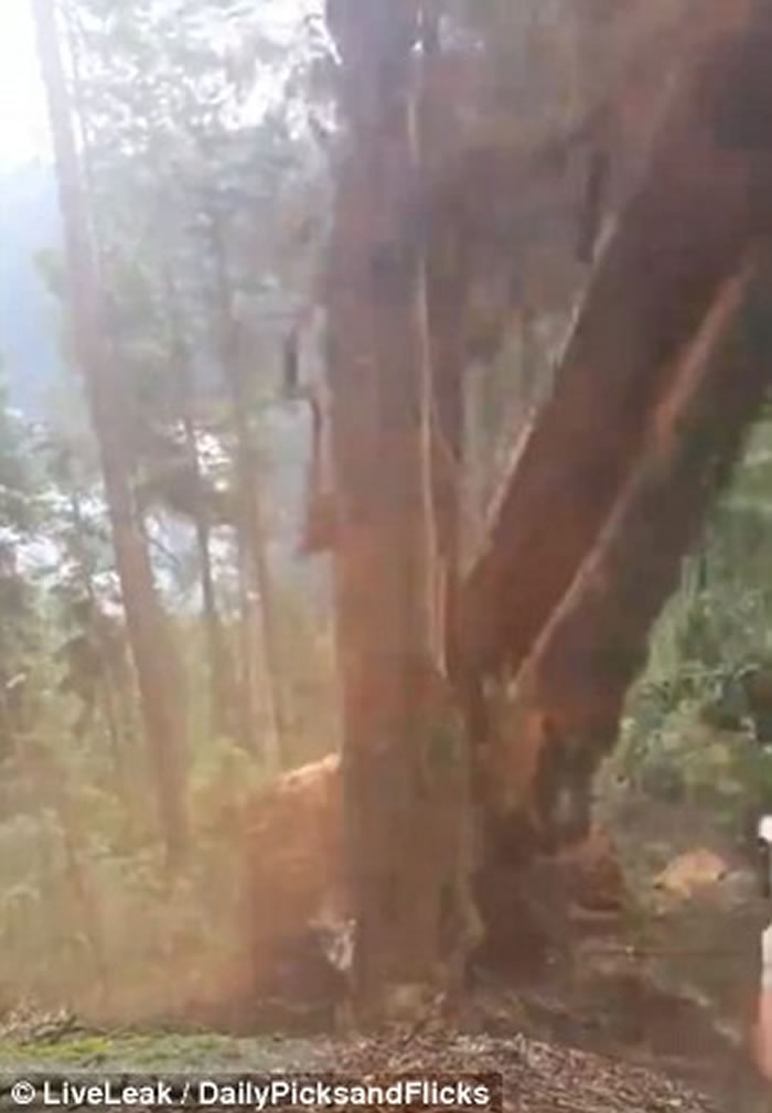 �����Է�ľʱ����ͻ�ѿ� �Ҷ�ÿ��ӹ�һ��