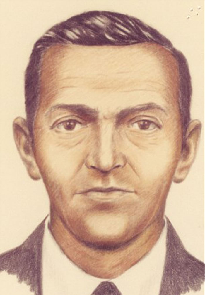 �ɷ�������������أ�ͼΪ����ò��ƴͼ��