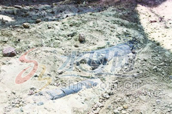 中科院专家汪筱林再次带队到莱阳恐龙化石富集区进行保护发掘