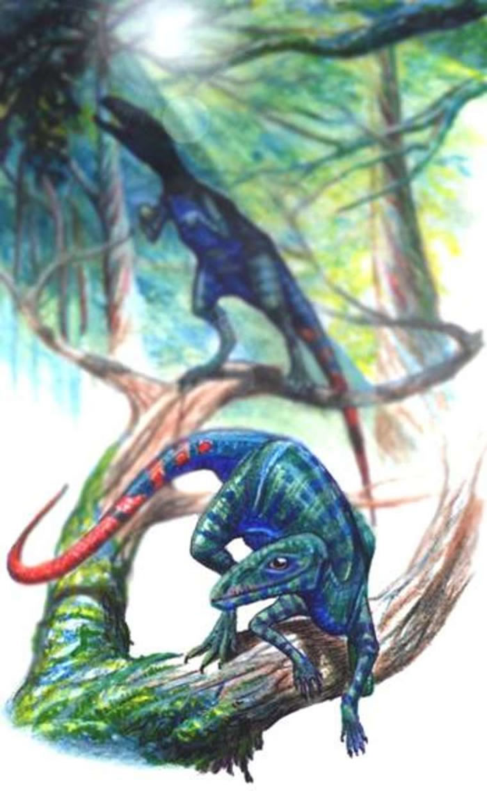 最新研究显示恐龙的叫声可能更接近鸽子的咕咕声