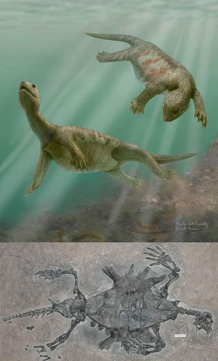 ������Լ2��2000����ǰ�����������İ�׳ݹ꣨����꣩��ֻ�и������м׿ǣ������޿ǣ������������ݡ���׳ݹ��ǹ�������е���Ҫ�������֡������ֻ�ʯ�������й���