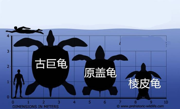 ����ʷ�����������ڹ꣺�ž޹��ԭ�ǹ꣬�Լ��ִ����������Ƥ�ꡣǰ�����ڹ궼�����ڰ��Ѽ͡�