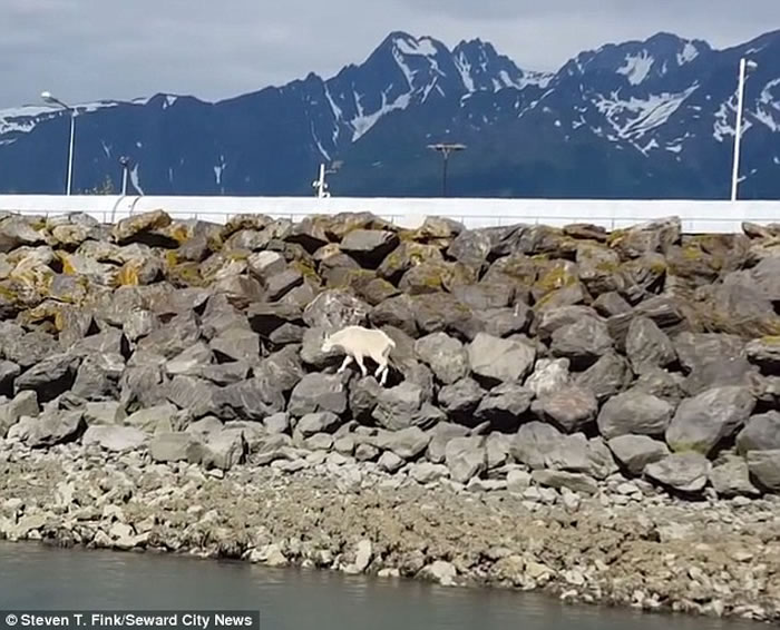 ��������˹����ɽ������׷�����ձƵ��������