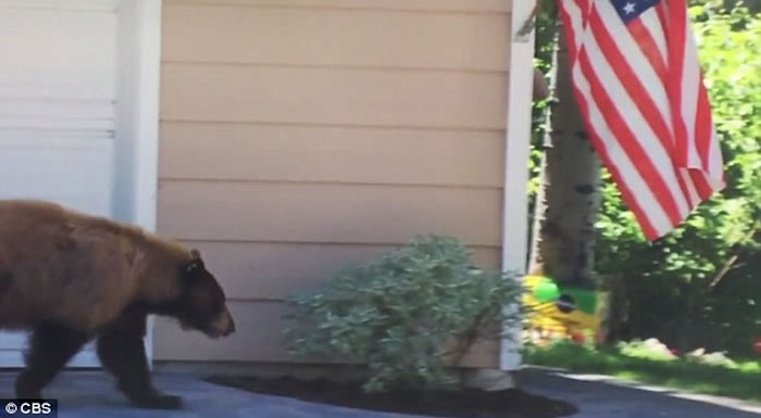 ��������������� ת��ײ�Ϻ�ˮ��