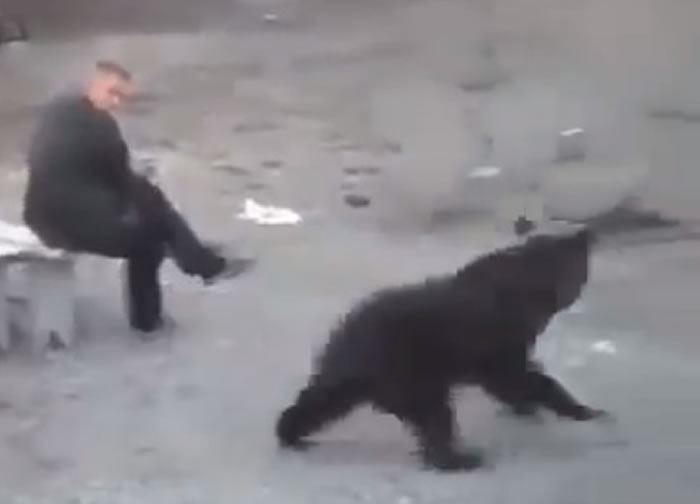 战斗民族:俄罗斯男子霸气回头一瞥就把鬼祟闲晃过来的大黑熊吓得落荒而逃