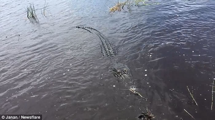 �����οͳ�С��̽��������������� ������ð��ˮ�浼�ε��������֡�