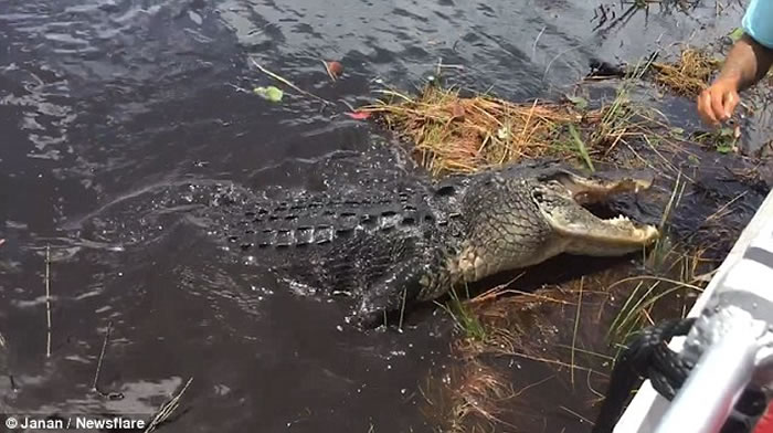 �����οͳ�С��̽��������������� ������ð��ˮ�浼�ε��������֡�