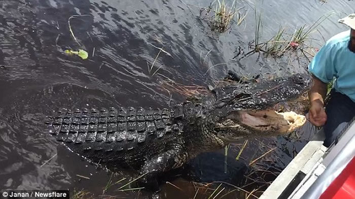 �����οͳ�С��̽��������������� ������ð��ˮ�浼�ε��������֡�