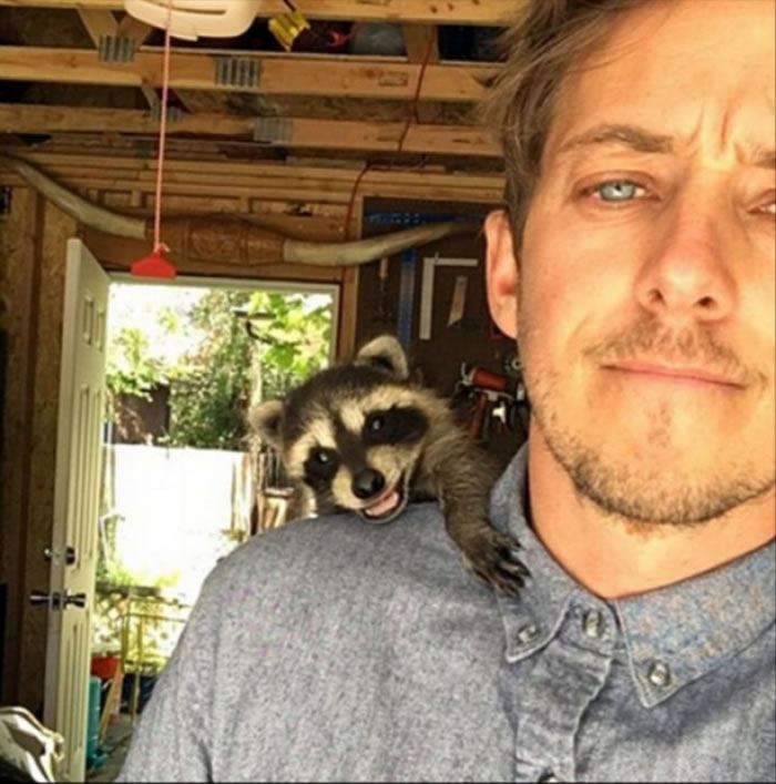 ����ɭ������С��ܣ�������������