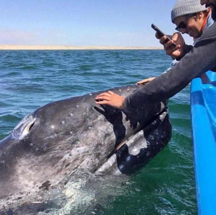 ����ɭĸ������Ϊ�β�POŮ����Ƭ����Ц����ͷ��������Ǹ�Ů�ģ�