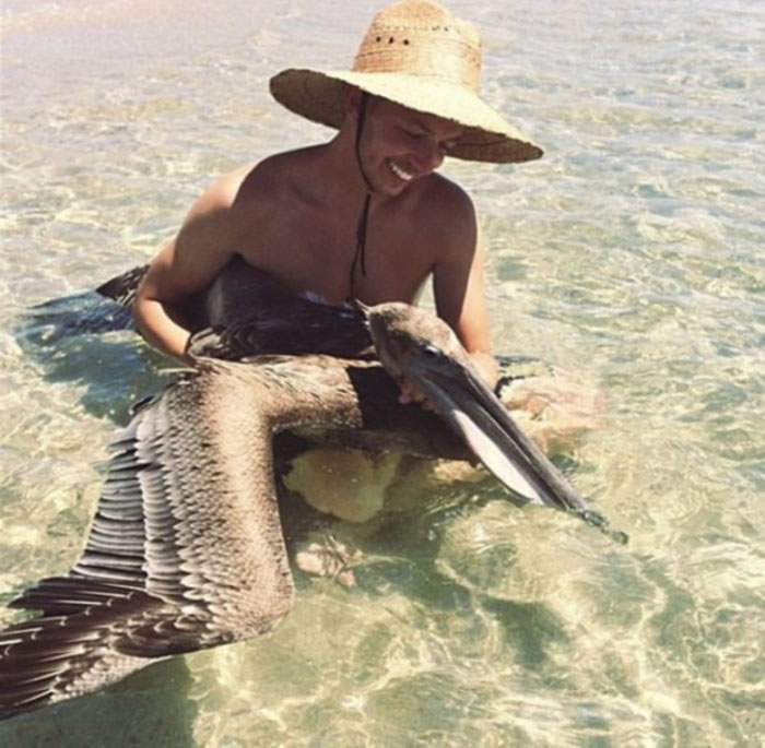 ֻ�ü�����������������ץ��һֻ���ɽ����о���