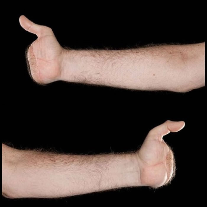 ���ڽ�������ǰ�������ֶ���ʣһֻĴָ��