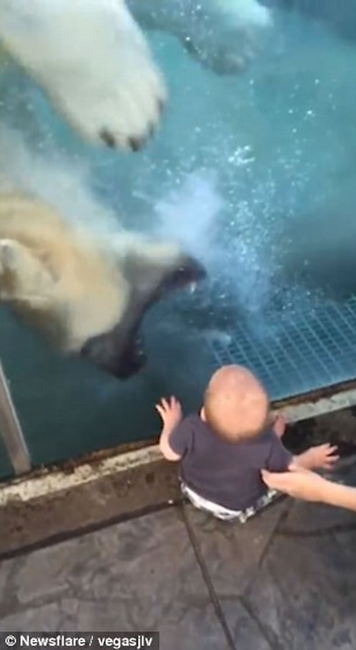 ��������԰�����ܽ�������Ѫ�����Ż�����