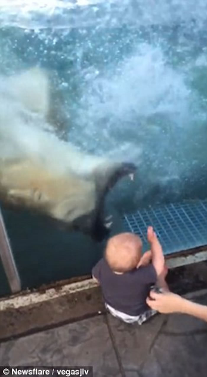 ��������԰�����ܽ�������Ѫ�����Ż�����