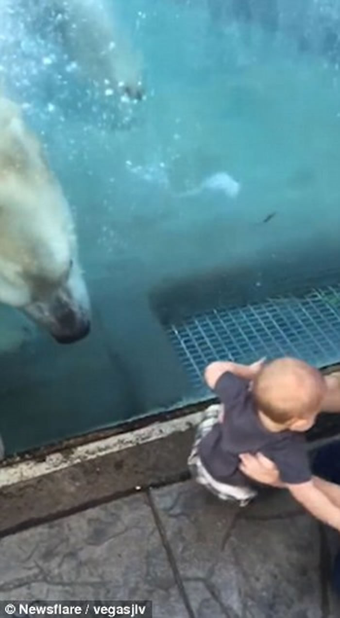 ��������԰�����ܽ�������Ѫ�����Ż�����