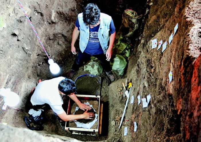 考古队员用套箱技术提起鱼化石