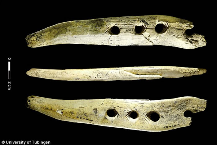 4万年前进入欧洲的人类有能力利用象牙制成的工具来生产绳索