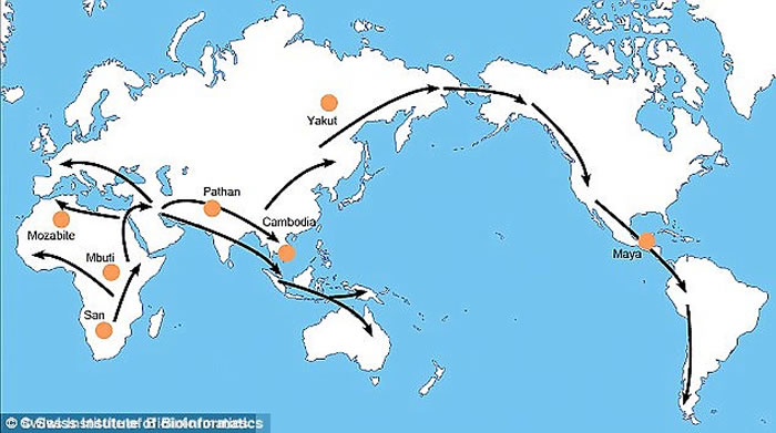 �ӷ���Ǩ�����Ĵ����ǵ�����DNA�����з��ִ���һ֧������������