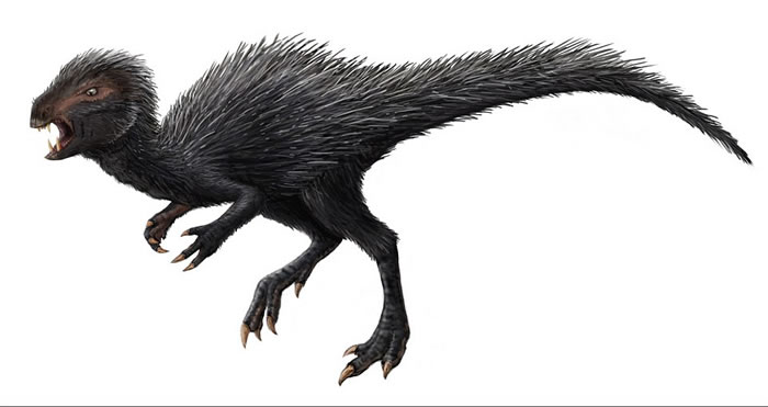 南非溪床中发现的两亿年前素食恐龙畸齿龙竟然长着“备用牙齿”