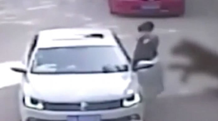 北京八达岭野生动物世界发生老虎攻击游客惨剧 野生动物园到底有什么问题?