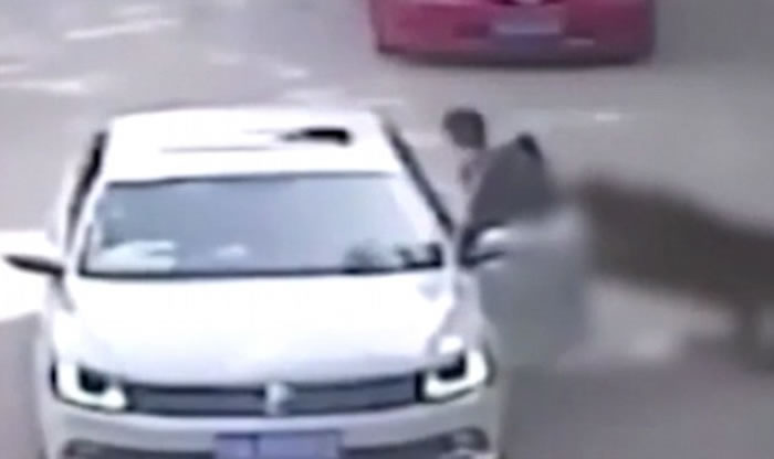 北京八达岭野生动物世界发生老虎攻击游客惨剧 野生动物园到底有什么问题?