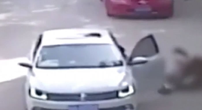 北京八达岭野生动物世界发生老虎攻击游客惨剧 野生动物园到底有什么问题?