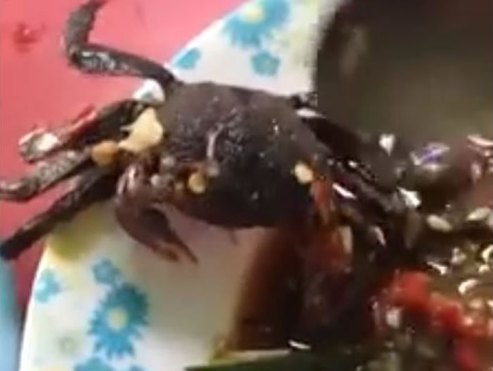 泰国一名网友正在享用沙拉时,盘里的螃蟹突然动了起来。