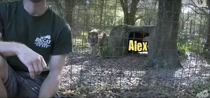 �����ϻ�������������������è��Ԯ��֯�����㡰ǧ��𱳶Դ�è��ӰƬ