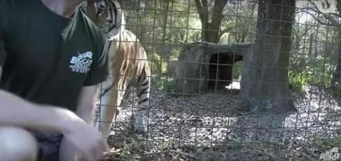 �����ϻ�������������������è��Ԯ��֯�����㡰ǧ��𱳶Դ�è��ӰƬ