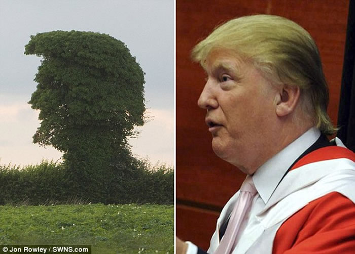 Ӣ������һ�ú����������͵�ͳ��ѡ��������ͷ�������