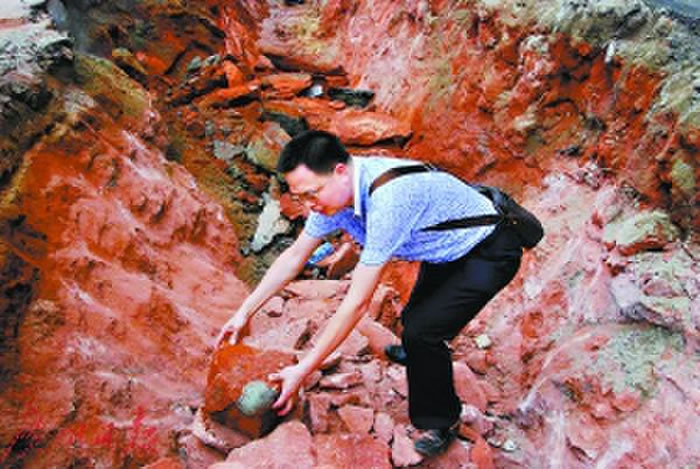 曾焕阳参与收集和看护挖掘出来的“恐龙蛋”。