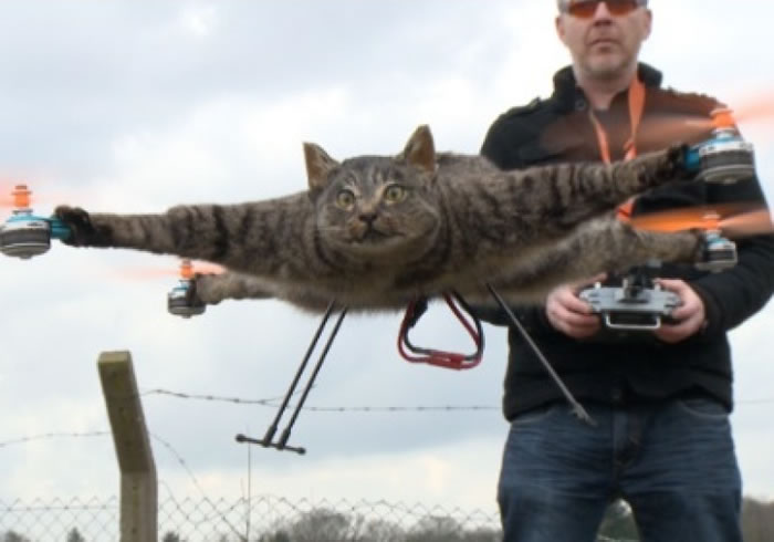 飞天猫启航:荷兰发明家Bart Jansen将动物标本跟无人机结合