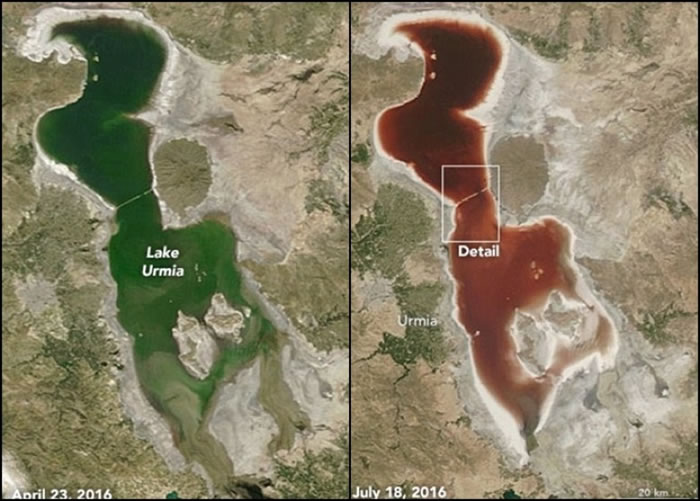 ���ʶ����Ǻ���Lake Urmia�����ļ��ɺ�Ӱ���ˮ���Ѫ��ɫ