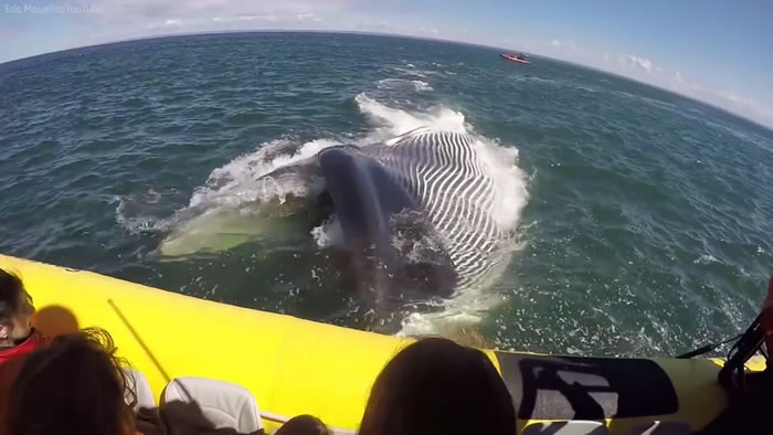 ���ô�50�־޴��뾨�ν��۹⴬ ������ת¶�����޴��