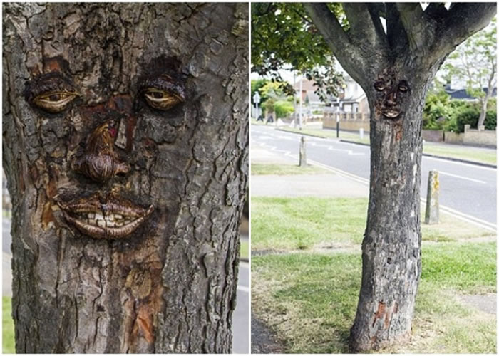 神秘涂鸦新星为树木添上栩栩如生的脸孔。