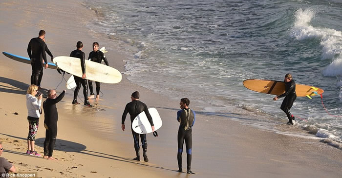 澳洲滑浪手惊魂:4米巨鲨伴游5分钟