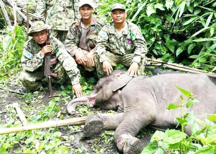 СҰ�����־�ȱ�������豸��ʧ��������