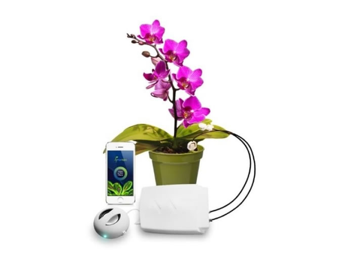 瑞士公司推出PhytlSigns装置可让人们听见植物的声音