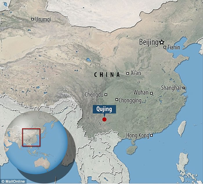 ����ά��ֲ���Ŵ��ṩ����������и�������֤��